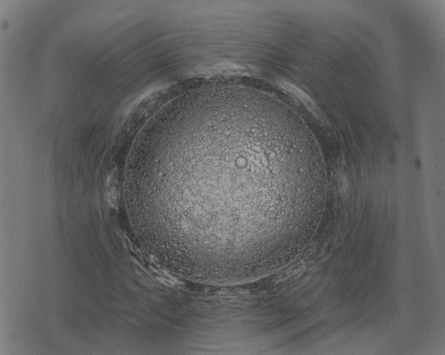 X0000074281063200609011336