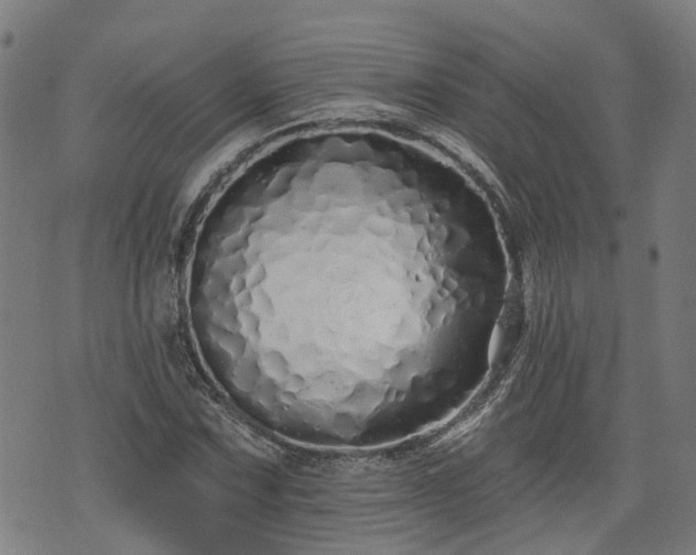X0000074281067200609011336
