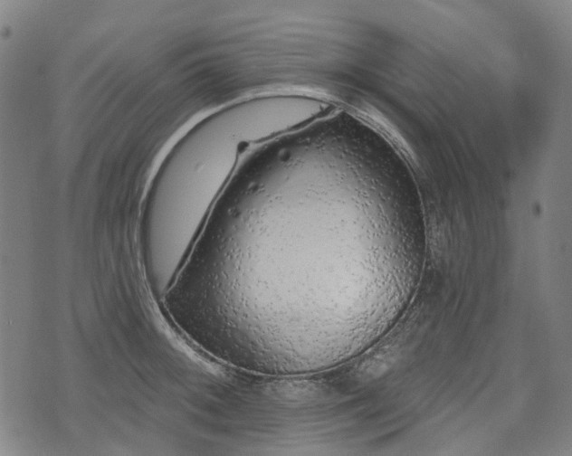 X0000074281092200609011336