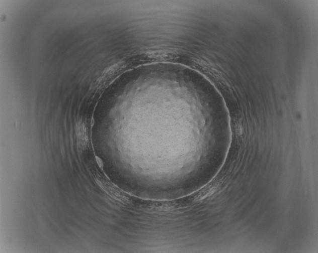X0000074281106200609011335