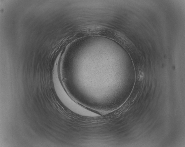 X0000074281108200609011335