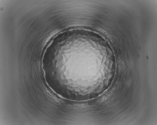 X0000074281121200609011335