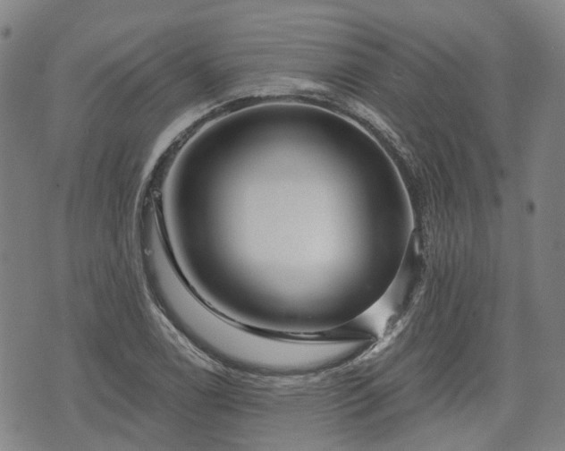 X0000074281122200609011335