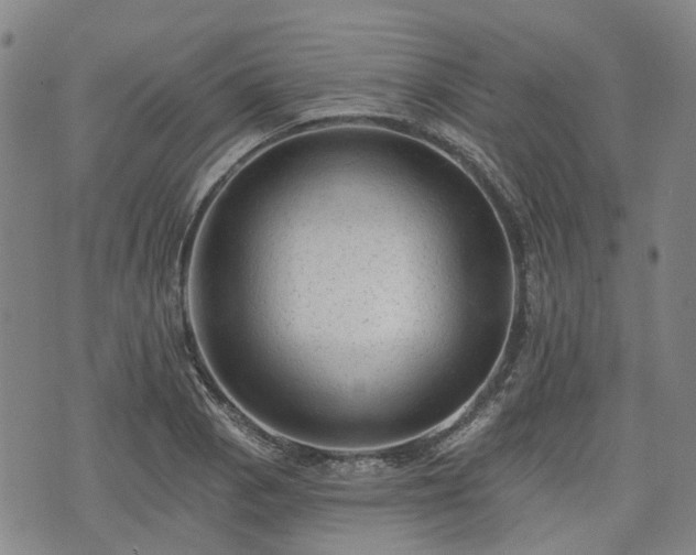 X0000074281129200609011335