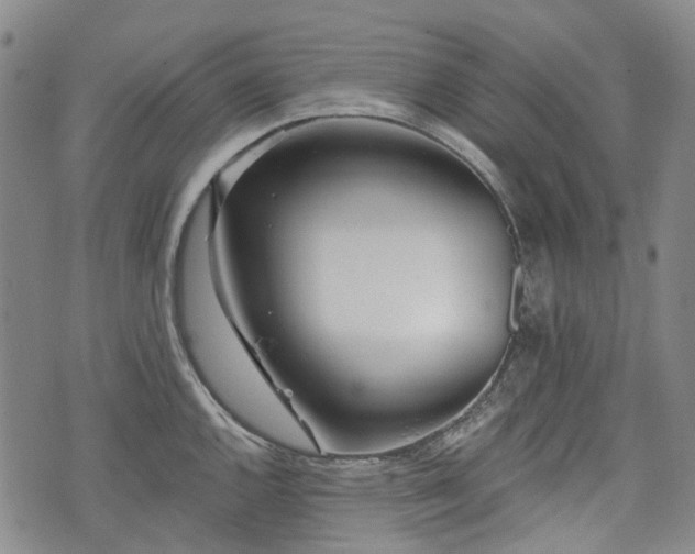 X0000074281144200609011335