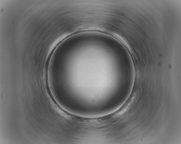X0000074281149200609011335