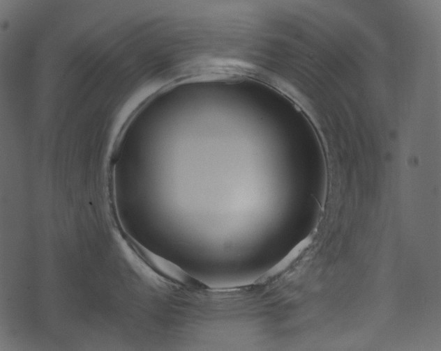 X0000074281152200609011335