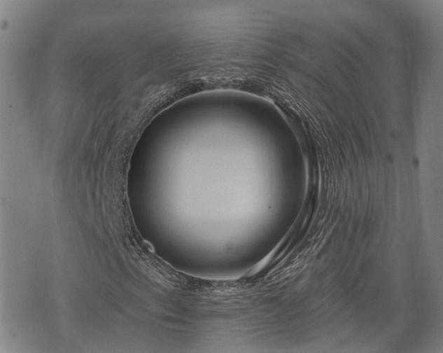 X0000074281153200609011335