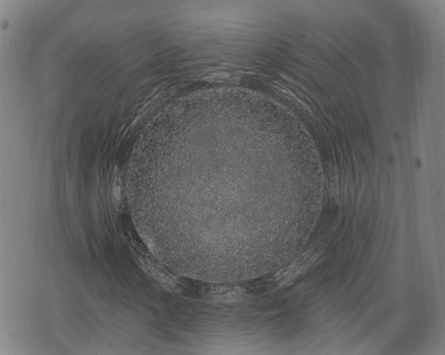 X0000074281154200609011335