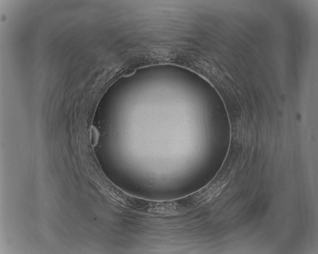X0000074281201200609011333