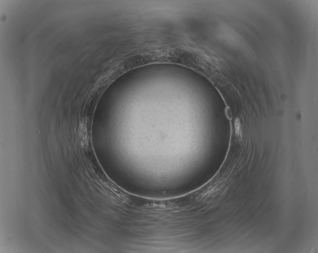 X0000074281203200609011333
