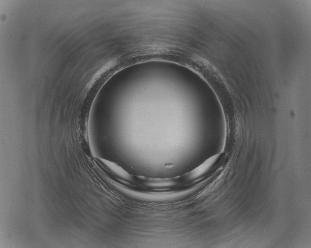 X0000074281210200609011333