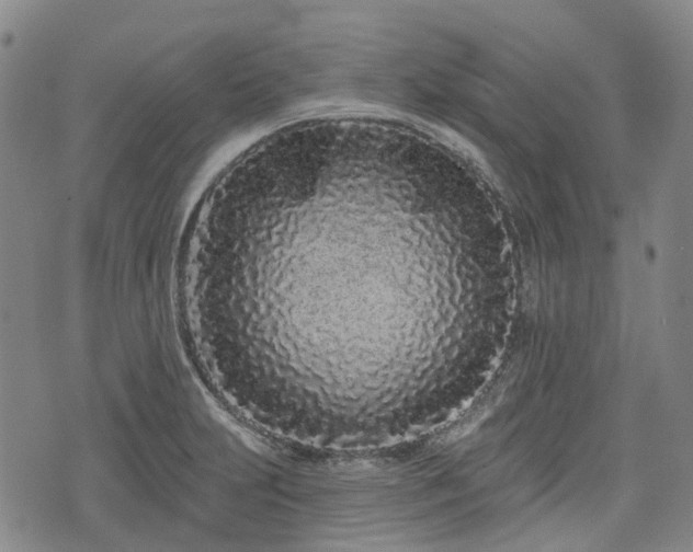 X0000074281231200609011333