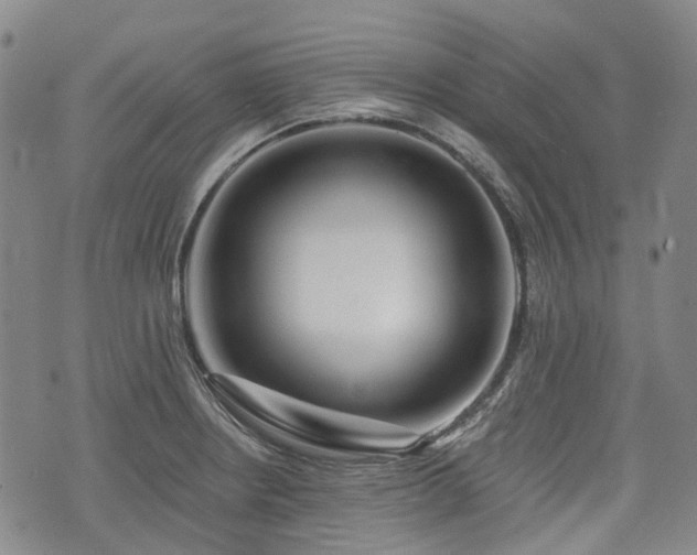 X0000074281234200609011334