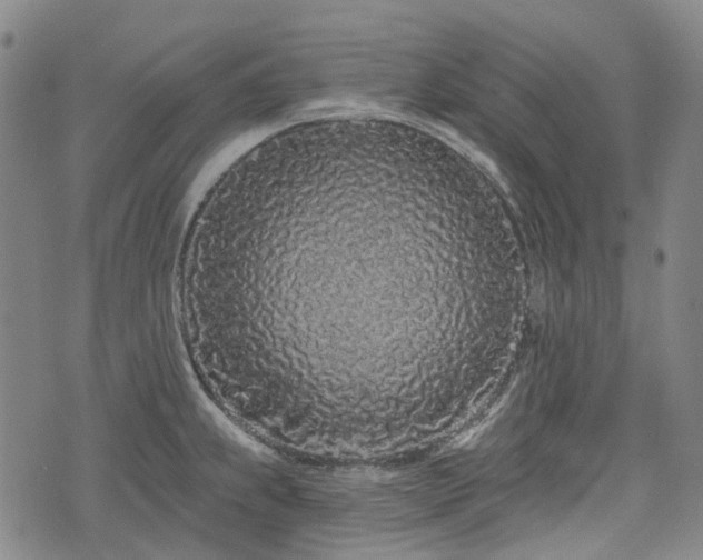 X0000074281239200609011334