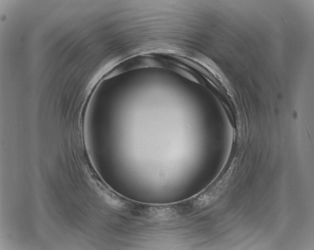 X0000074281242200609011334