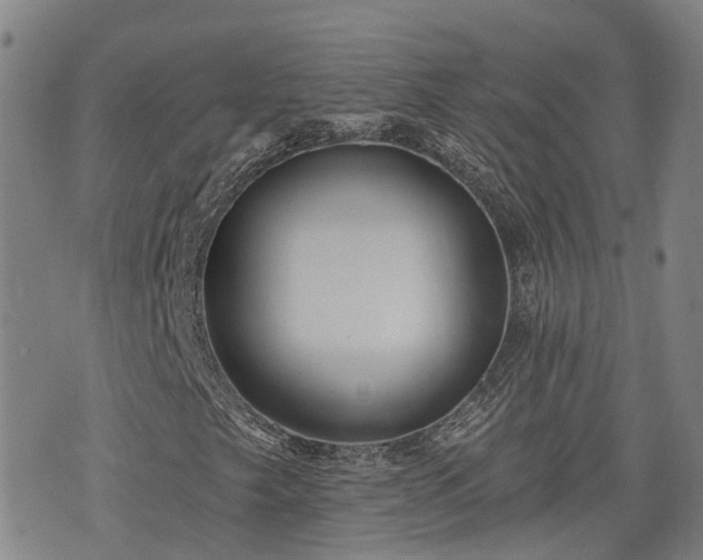 X0000074281249200609011333