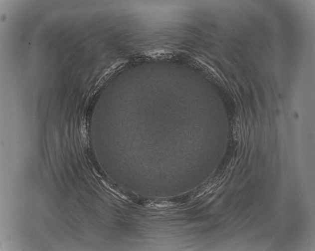 X0000074281298200609011331