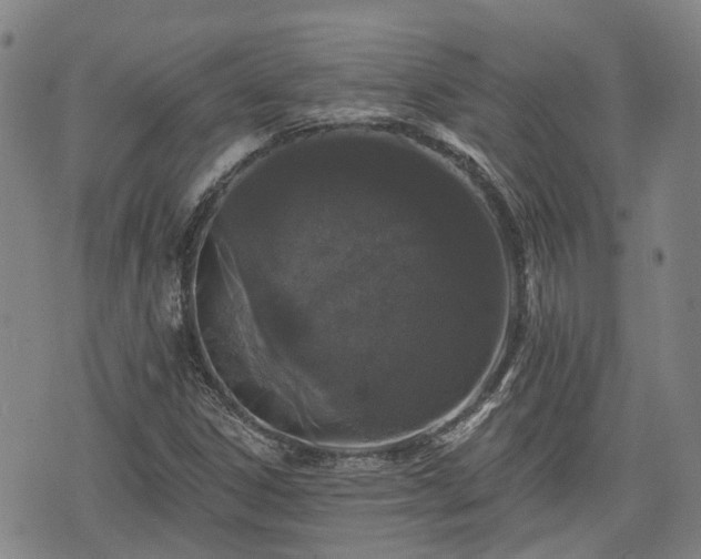 X0000074281306200609011332