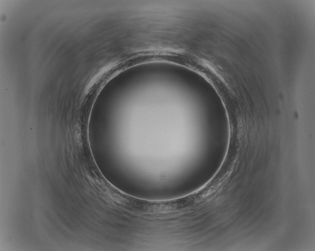 X0000074281307200609011332