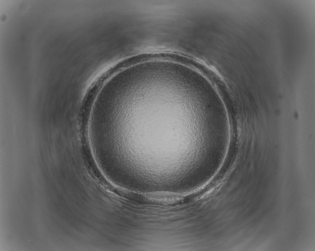 X0000074281311200609011332