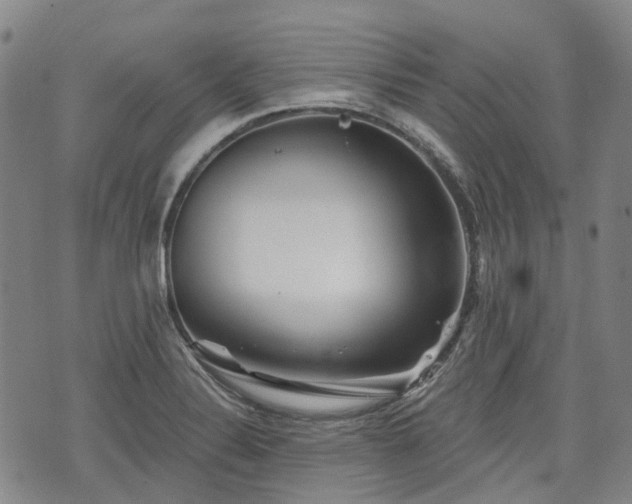 X0000074281324200609011332