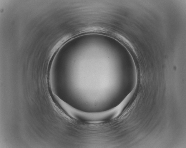 X0000074281330200609011332