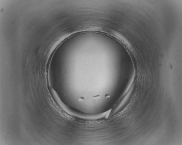 X0000074281332200609011332