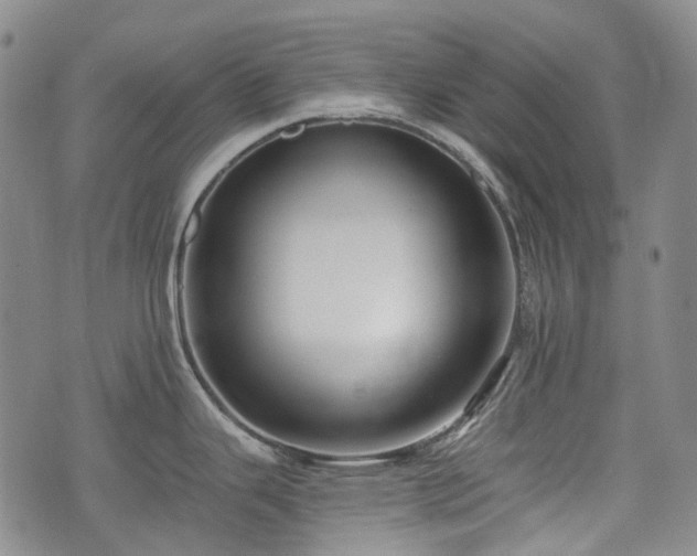 X0000074281343200609011332
