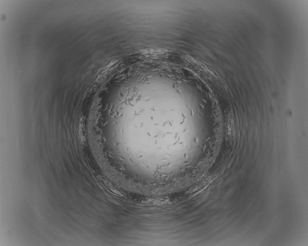 X0000074281346200609011331
