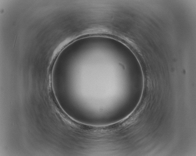X0000074281366200609011331