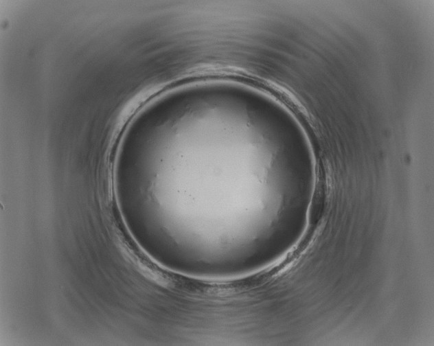 X0000074281371200609011331
