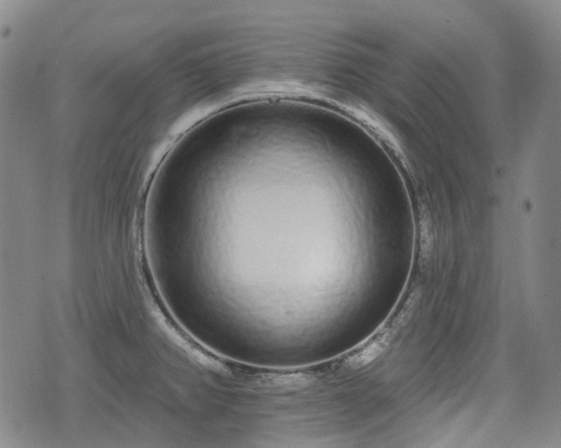 X0000074281382200609011331