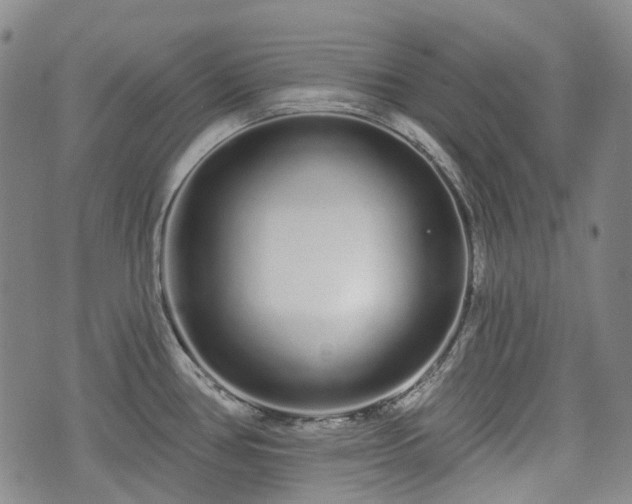 X0000074281386200609011331