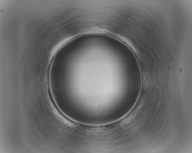X0000074281387200609011331