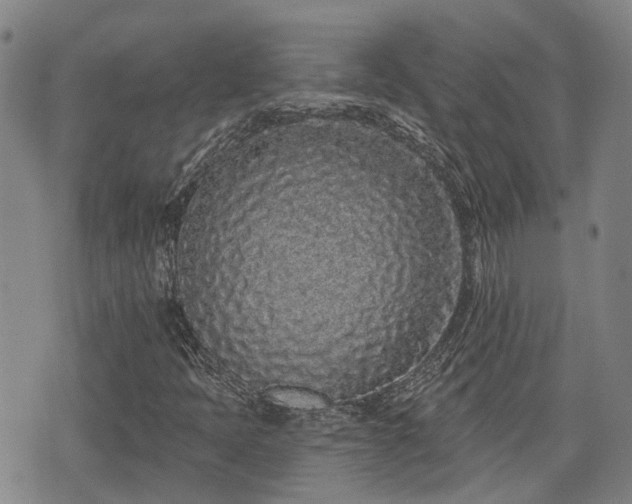 X0000074281397200609011330