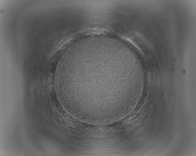 X0000074281399200609011330