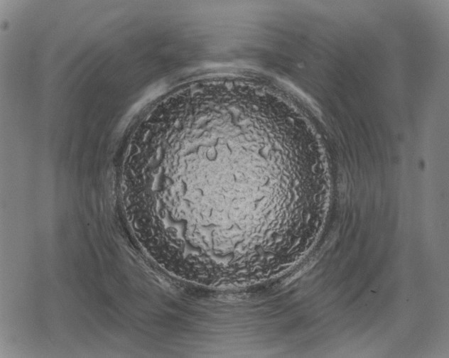X0000074281411200609011330