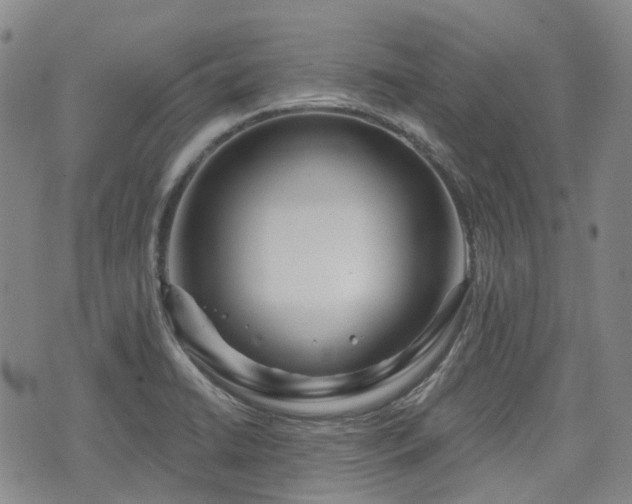 X0000074281422200609011330