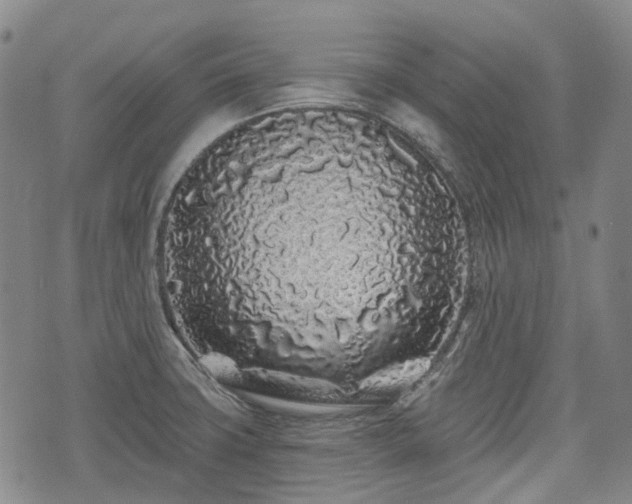 X0000074281427200609011330