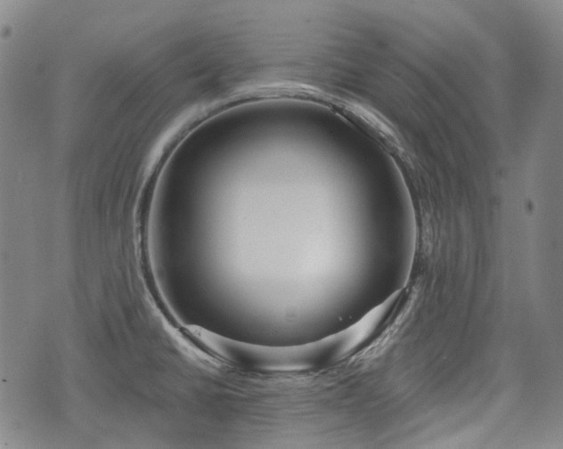 X0000074281430200609011330