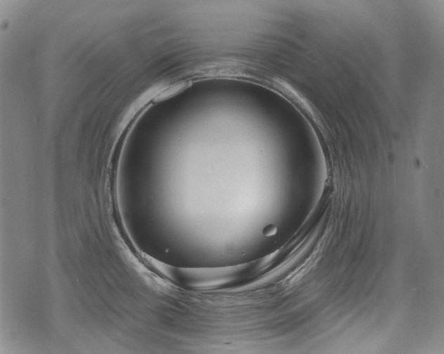 X0000074281434200609011331