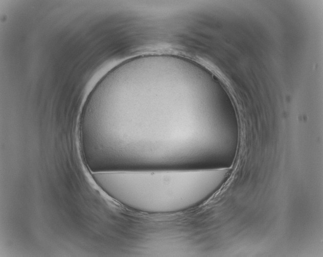 X0000074281440200609011331