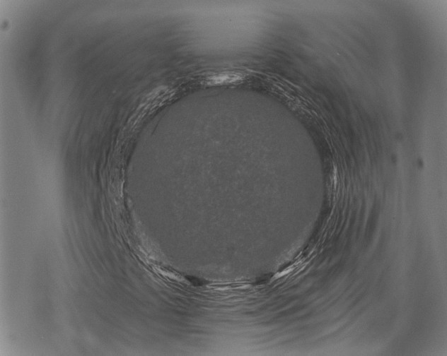 X0000074281441200609011330