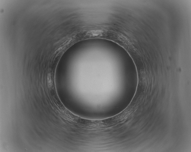 X0000074281442200609011330