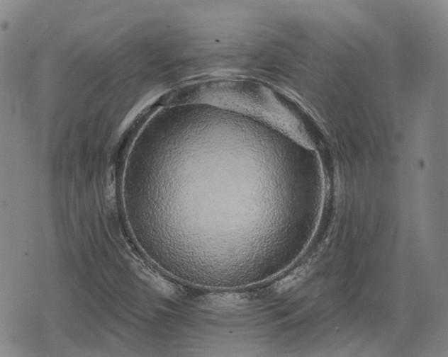 X0000074281450200609011330