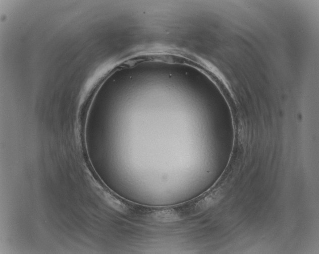X0000074281464200609011329