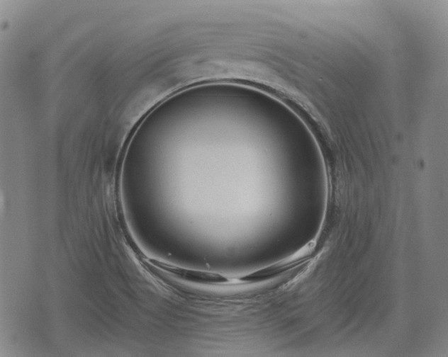 X0000074281513200609011329