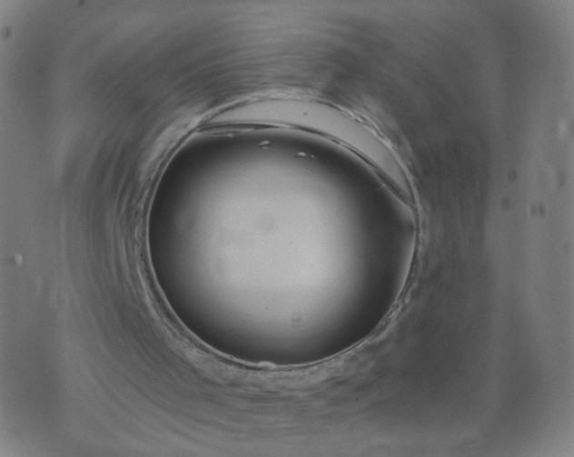 X0000074280001200609081838