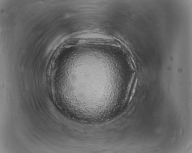 X0000074280002200609081838